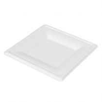 Bagasse Square Plate 160x160 WIT 