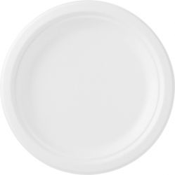 Dinner plate Bagasse 22cm bleached