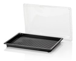 Delitray 255x185x20 APET ZW