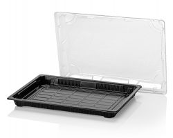 PS Sushi tray ZW 259x186,5x23,5